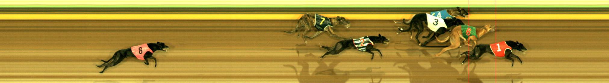 Race result finish photo